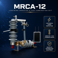 Parafoudre sans intermédiaire à oxyde métallique ZHUOLI MACA-12(Z) 10kA 12kV certifié ISO/CE pour la protection contre les fuites de foudre en distribution