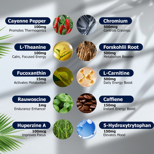 Cápsulas de Suplemento Premium de Capsaicina y L-carnitina de Alta Calidad, Aumentan la Energía y el Metabolismo, Cápsulas para Impulsar el Metabolismo - Product Image 3