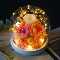 Kotak Hadiah Kaca Kubah dengan Bunga Mawar Awet LED Cantik Custom Satu Atap untuk Grosir Natal, Hari Valentine, Hari Ibu
