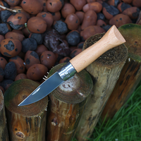 Couteau utilitaire pliant portable à ouverture manuelle avec verrouillage à anneau, couteau à fruits, manche en bois de hêtre, couteau de survie pour le camping en plein air, couteau de poche EDC