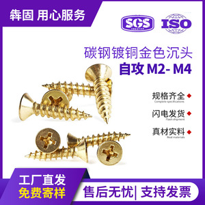 สกรูเกลียวปล่อยเคลือบทอง หัวจม M2 M2.3 M3 สำหรับงานไม้ในอุตสาหกรรมก่อสร้าง - Product Image 5