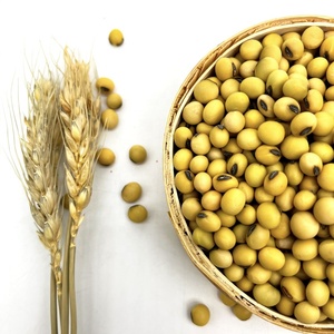 Vente en gros d'usine de soja jaune NO-GMO de haute qualité en vrac New Corp de Chine - Product Image 1