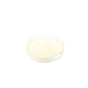 Poudre de gélatine certifiée Halal de qualité alimentaire pour la crème glacée, le yaourt, le fromage, les produits laitiers, les desserts, vente en gros en vrac - Product Image 1
