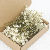 Boîte de 50 branches de gypsophile naturelles séchées de qualité supérieure pour l'art floral, la décoration de couronnes DIY, les fêtes et les mariages