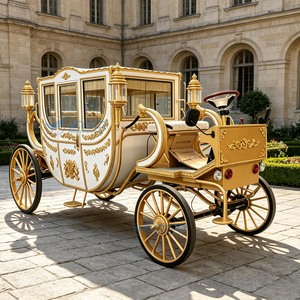 Calèche royale électrique économique avec pneus en caoutchouc massif pour mariage / Véhicule électrique - Product Image 1