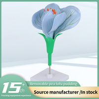 Modèle d'Exposition de Plante en PVC Durable, Structure Fleur de Pois, Vente Directe Usine, Modèle Pédagogique Scolaire 19.5x16.5x13cm