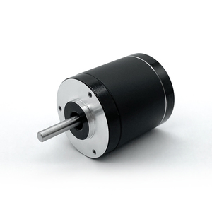 Motor sin Escobillas Redondo Pequeño de 12V y 42mm para Hogar Inteligente y Uso Doméstico, 10W de Alta Eficiencia, Certificado CE ROHS, 42BYA040A040X - Product Image 3