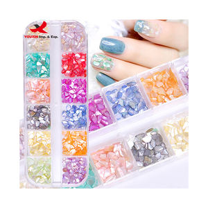 Mezcla de Conchas de Abulón Irregulares de 12 Compartimentos, Precio Bajo, Copos de Concha Natural con Brillo, Fragmentos de Concha Marina para Decoración de Uñas - Product Image 3