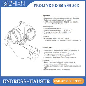 Medidor de Flujo Másico Coriolis para Gas Endress+Hauser E+H Promass 80E, Tipo Integrado o Dividido, con Medición de Densidad y Temperatura - Product Image 2