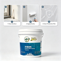 Revêtement protecteur transparent en acrylique pour murs intérieurs et extérieurs, anti-UV, imperméable, revêtement liquide pour murs en pierre véritable