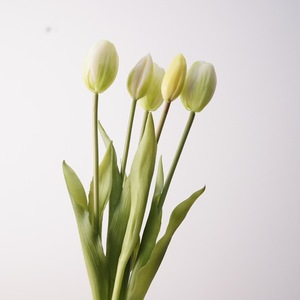 High Quality Artificial Latex Tulip Flower Bouquet Pe Tulip Flower 5 Heads Real Touch Tulip - Product Image 3