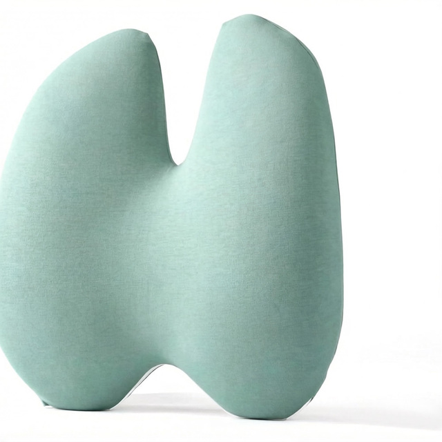 Ergonomic Memory Foam Lumbar Support Pillow with Contoured Design for Back Pain Relief in Office and Car