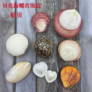 Coquillages naturels, escargots de mer, perles, coquilles Saint-Jacques, conques, coquillages pour peinture à l'huile, boîtes à bijoux, artisanat, vente en gros directe - Product Image 5