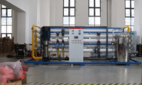 Planta de Desalinización de 50 T/H, Sistema de Tratamiento de Agua por Ósmosis Inversa de 50000 LPH para Agua de Alimentación de Calderas de Plantas de Energía, Estructura de Acero Inoxidable SS304, PLC Automático