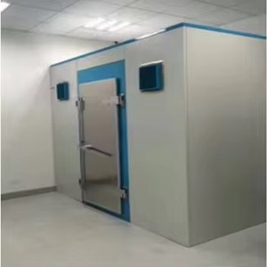 Complete Lead Shield Enclosure X-Ray Protective Lead House For Nuclear Sample Testing - Product Image 3