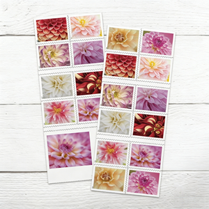 2024 शादी के फूल 2025 दाहलिया हम पोस्टकार्ड सजावट के लिए 100 पीसी डाक टिकटों की 5 शीट डाक टिकट स्टिकर - Product Image 6