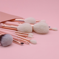 Échantillon gratuit Logo privé personnalisé Poils de chèvre naturels doux Outils de beauté de haute qualité Ensemble de pinceaux de maquillage professionnel de 14 pièces