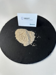 Suplemento dietético Weizy 100Mld duradero Premium italiano de grado alimenticio nutracéutico Heyndrickxia coagulans - Product Image 2