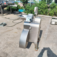 YouBan Multifunctionele 3D Snijmachine voor Vers Halfgevroren Vlees Cassave Mango Banaan Kaas Kubus Reep Plak Snijden SUS304