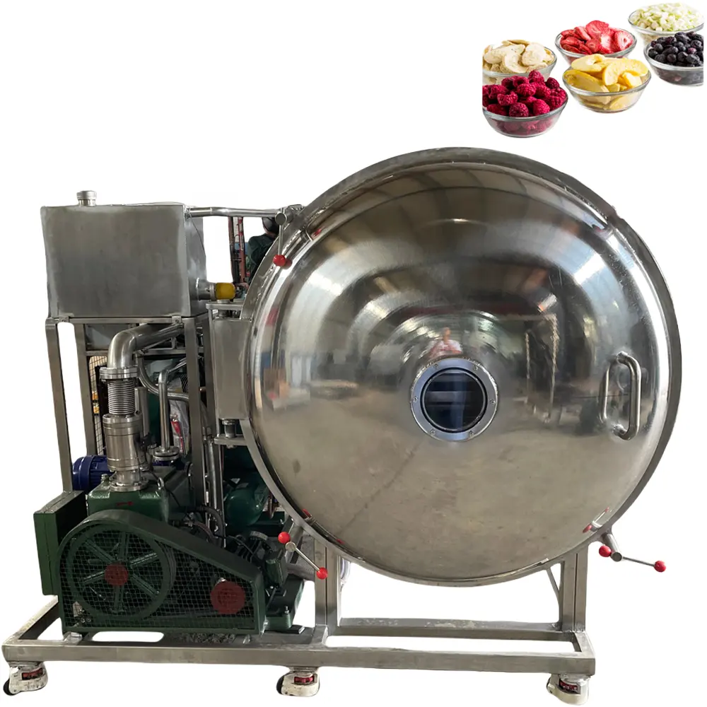 VBJX Lyophilisateur commercial automatique pour déshydratation et pompe à vide pour usine de fruits Aliments pour animaux
