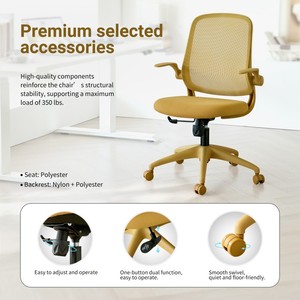 <span class=keywords><strong>Chaise</strong></span> <span class=keywords><strong>de</strong></span> <span class=keywords><strong>bureau</strong></span> pivotante <span class=keywords><strong>ergonomique</strong></span> LN18XS moderne à dossier moyen, <span class=keywords><strong>petite</strong></span> <span class=keywords><strong>taille</strong></span>, inclinable, réglable en hauteur, avec accoudoirs pliables et dossier en maille, disponible en plusieurs couleurs - Product Image 4