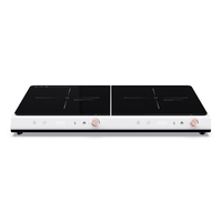 Cuisinière électrique ultra-mince 3800 W à prix abordable / Table de cuisson à induction double brûleur
