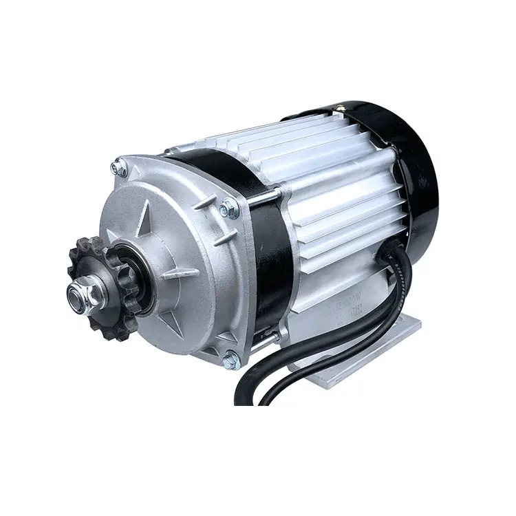 Small Size 60V 700W Bldc Motor With Chain Gear