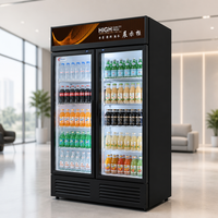 Congélateur vertical ventilé de 300 L, directement de l'usine, avec technologie No Frost, idéal pour les boutiques de boissons et les délicatisseries