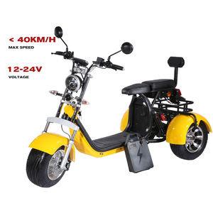 Tricycle électrique Support technique sur place Freestyle Cargo Trike <span class=keywords><strong>3</strong></span> <span class=keywords><strong>roues</strong></span> Tricycle électrique <span class=keywords><strong>à</strong></span> <span class=keywords><strong>vendre</strong></span> - Product Image 1