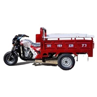 Motocyclette cargo à trois roues à carrosserie ouverte avec side-car, moteur à essence, motorisée pour adultes