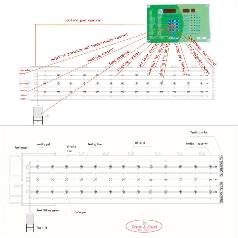 Automatic broiler / chicken / poultry pan feeding line