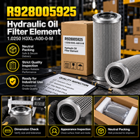 Élément de filtre à huile hydraulique BOSCH REXROTH R928005925 pour les pièces du système de retour hydraulique des équipements lourds