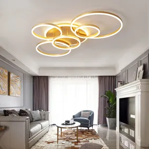 现代圆形设计吊灯客厅卧室金色白色咖啡彩绘圆形环照明灯具灯具