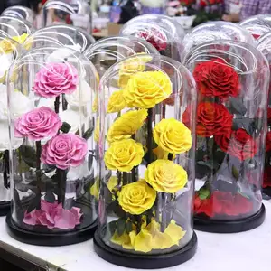 Factory Directly Supply 2024 Hot Selling Eternal Rose Morthers Day Preserved Flower Forever Roses In Glass Dome Led