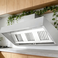 Hotte d'extraction professionnelle en acier inoxydable pour cuisine commerciale – Système de ventilation haute performance pour restaurant