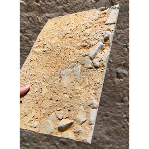 MCM Planche en pierre tendre et dure de style <span class=keywords><strong>ancien</strong></span> pour la décoration murale et cellulaire - Product Image 4