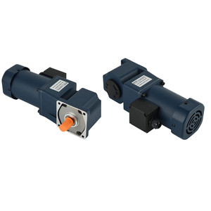 6W 10W 15W 25W 40W 60W 90W 120W 150W 180W 200W 250W 300W 350W 400W 750W 1pha 110V 220V cuộn dây đồng AC cảm ứng động cơ bánh răng - Product Image 6