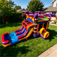 Château gonflable tropical combiné palmier avec toboggan aquatique humide et sec pour enfants, idéal pour les fêtes d'anniversaire en extérieur, les jardins et les pelouses, parfait pour la location et le divertissement.