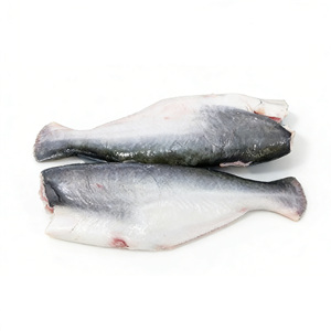 Pangasius Congelado Swai HGT, Pangasius Basa HGT, Pangasius Entero sin Cabeza y Eviscerado - Product Image 1