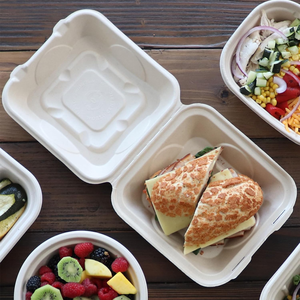 Fabricant de vaisselle en bagasse, assiettes, plats, articles de table en papier - Product Image 2