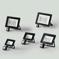 Nouveauté : Projecteurs LED portables pour stades, avec puce COB et indice de protection IP65