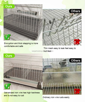 ZB LMC 17 Cage à cailles automatique pliable en métal pour volailles vivantes, avec mangeoire, abreuvoir et bac à excréments