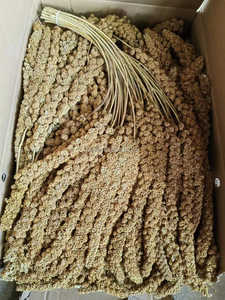 Voedsel Voor Vogels 15Kg Kartonnen Doos Pakket Vogel Voedsel Geel Rode Gierst Sprays Vinger Gierst - Product Image 2