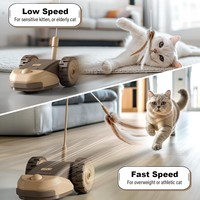 Jouet pour animaux de compagnie à roue basse et haute vitesse, résistant à l'usure, avec plumes, pour l'entraînement et les activités des chats en salon.