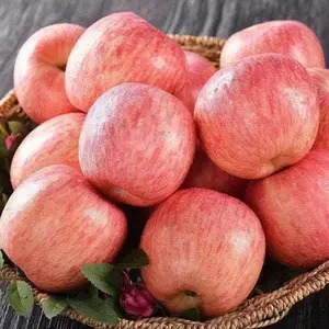 แอปเปิ้ลฟูจิแดงสด ผลไม้สด ผู้ผลิตแอปเปิ้ลสดธรรมชาติ