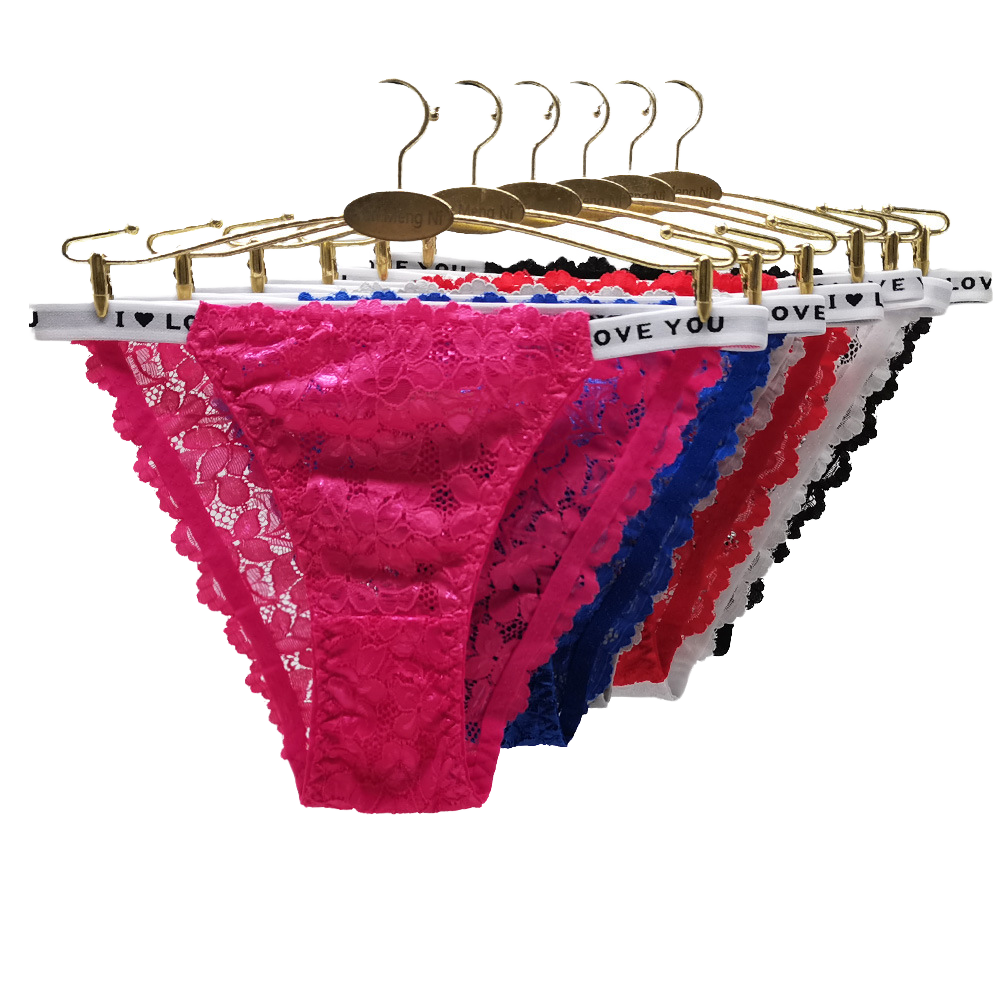 Wholesale Sexy Floral Mid-Rise Lingerie Women's Hipster Panties High Quality Nylon/Cotton Erotic Underwear