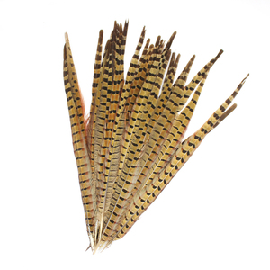 Plumas de Cola de Faisán de Collar Verde Natural de 50-55 cm - Product Image 3