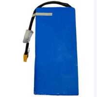 Batterie au lithium-ion personnalisée 18650 10s2p 36v 4400mah avec connecteur Xt60 pour trottinette électrique