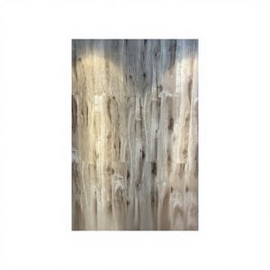 Perspectivas Comerciales de SPC Flooring en 2026: Principales Mercados y Tendencias de Compra para Salas de Estar - Resistente al Agua, Anti-Rayones, Instalación con Sistema de Clic - Product Image 1