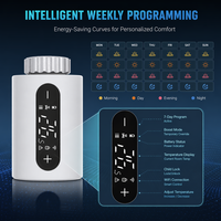 Tuya Wifi inalámbrico inteligente Trv Válvula de radiador programable HYSEN termostato de Calefacción Automática